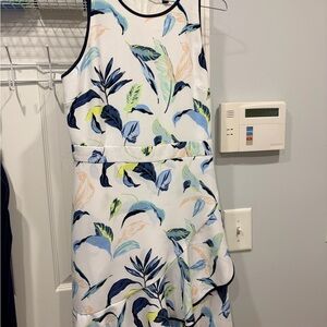 Banana Republic Cream and Blue Dress